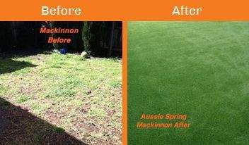 mackinnon before & after xtreme turf work